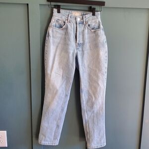 Everlane curvy 90s cheeky straight jean organic cotton crop light wash